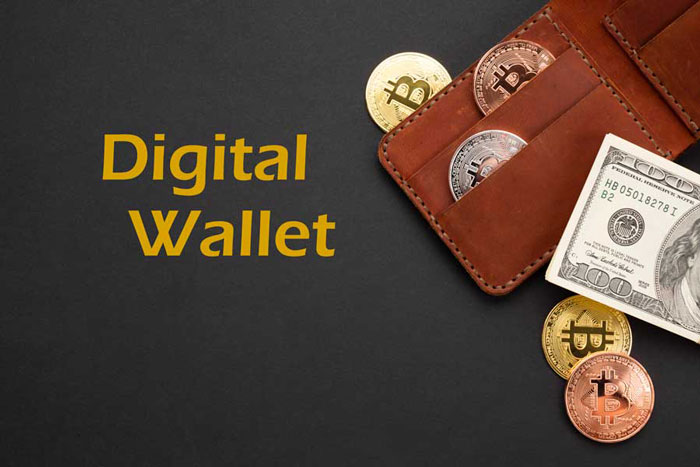 کیف پول نرم‌افزاری Bitcoin Wallet چیست؟
